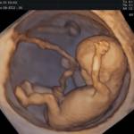 Galleria Dr.ssa Elettra Marullo foto 2